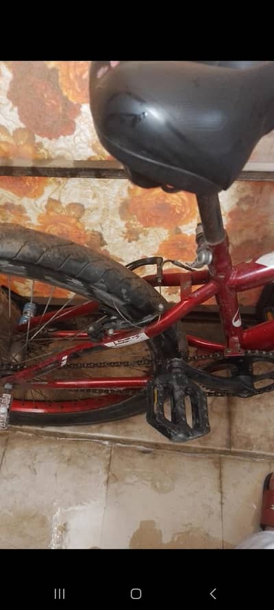 bicycle