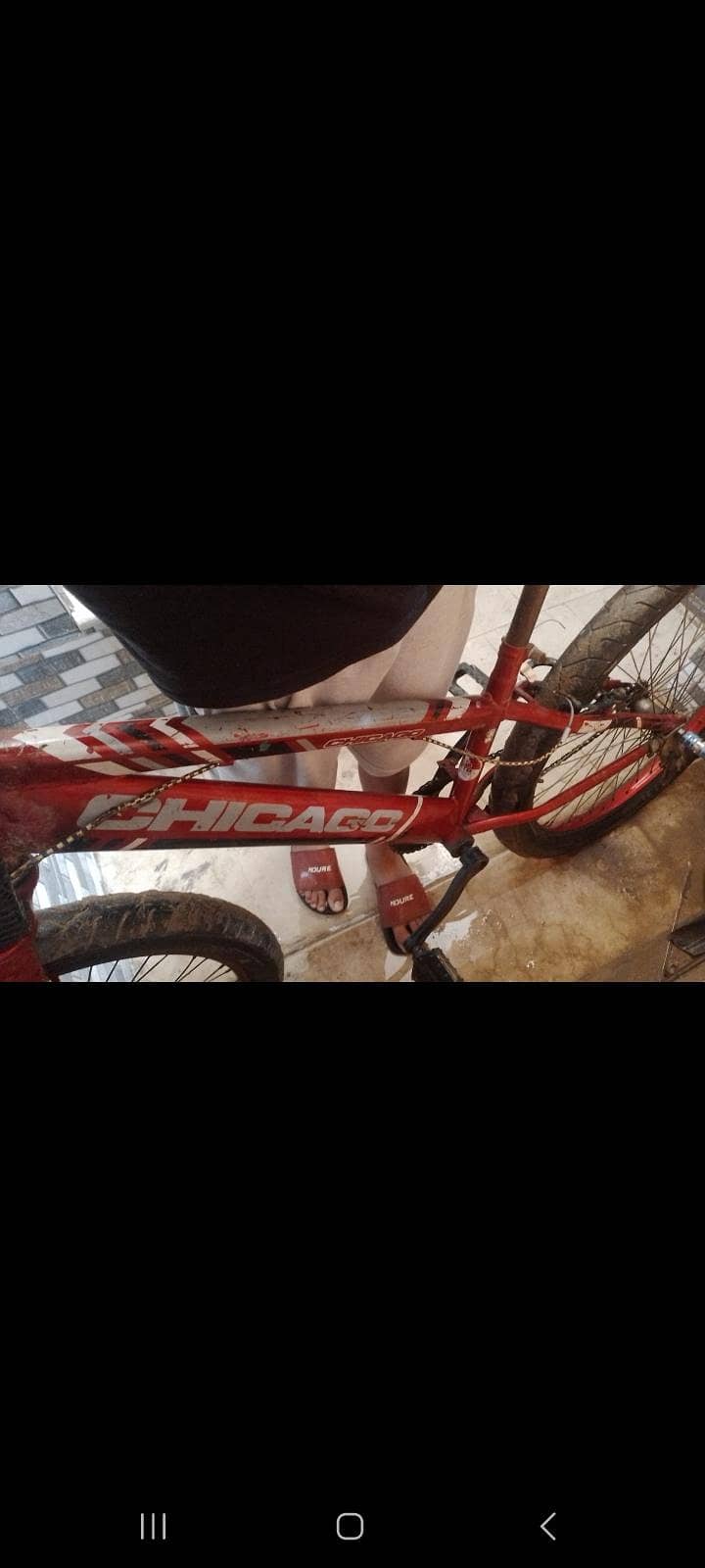 bicycle 2