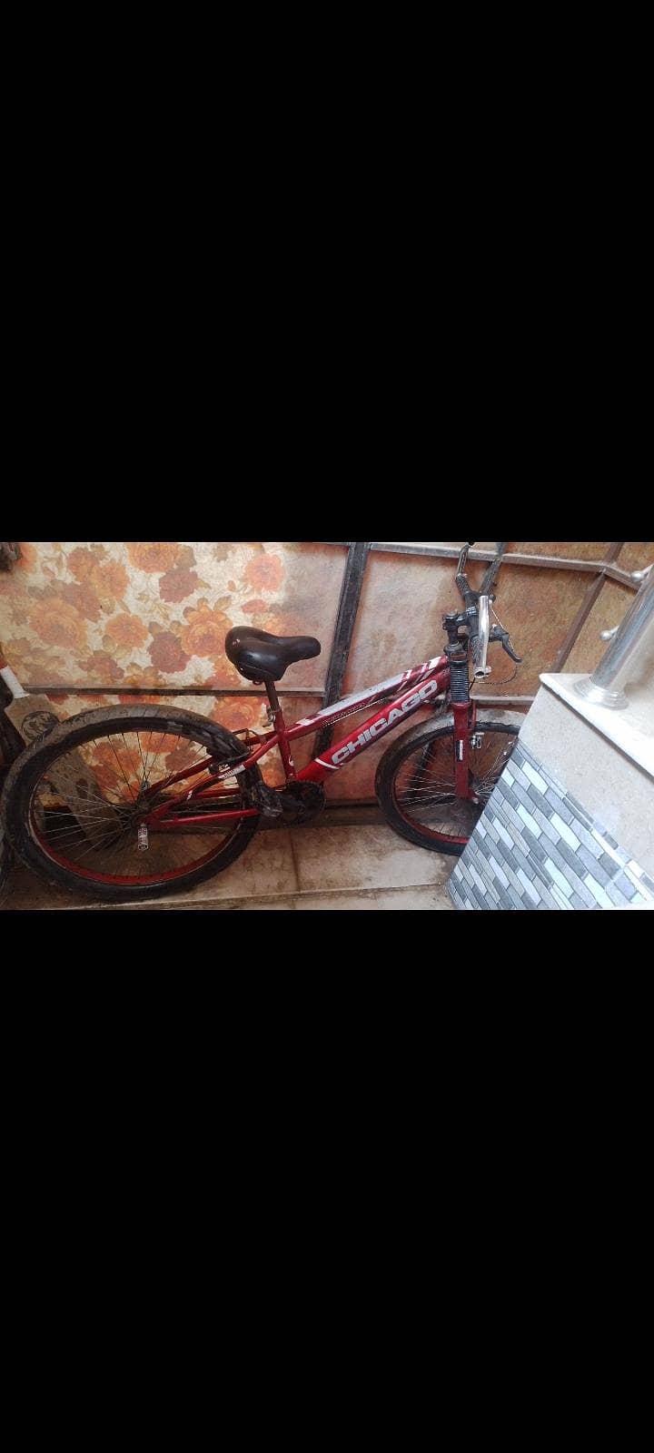 bicycle 5