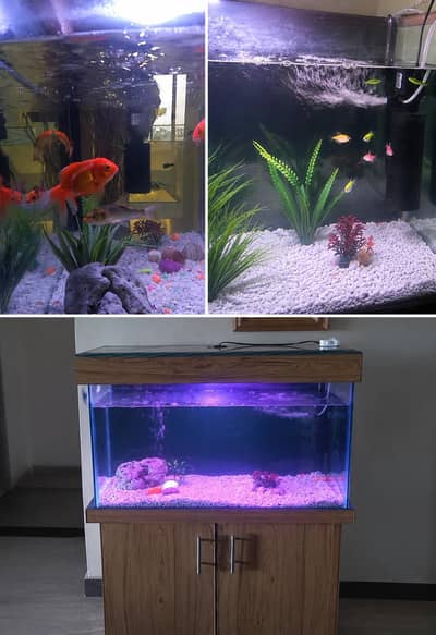HIGH QUALITY FISH TANK FOR SALE WITH LIGHTING AIR PUMP AND FILTER