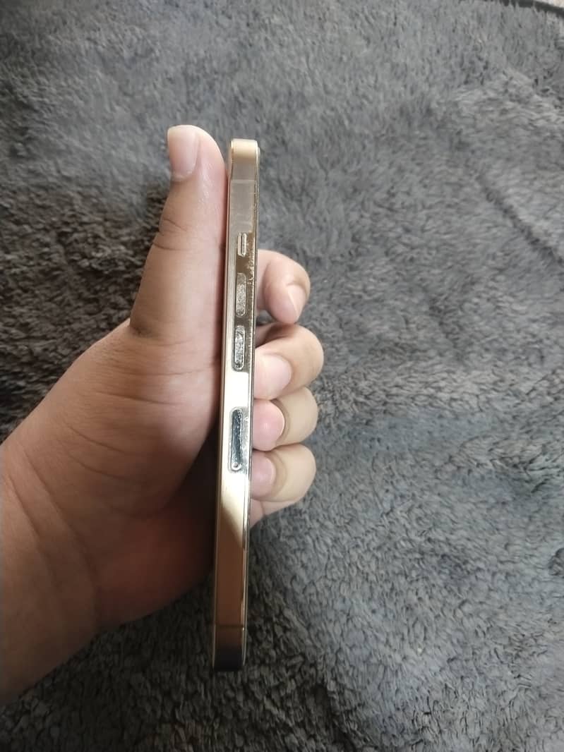 iPhone 13 Pro 1