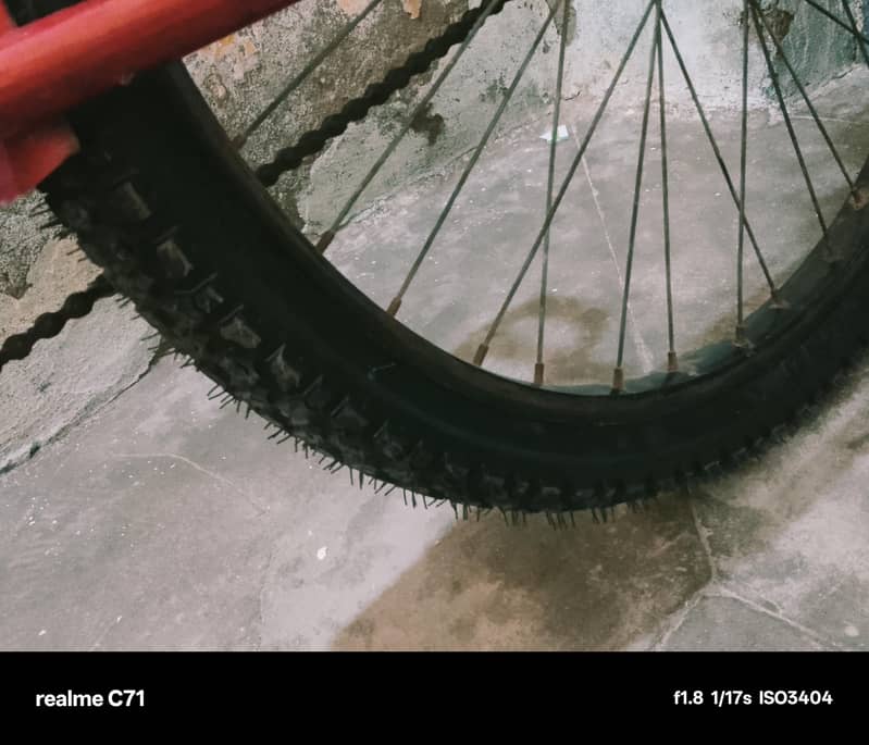 cycle size 24 1
