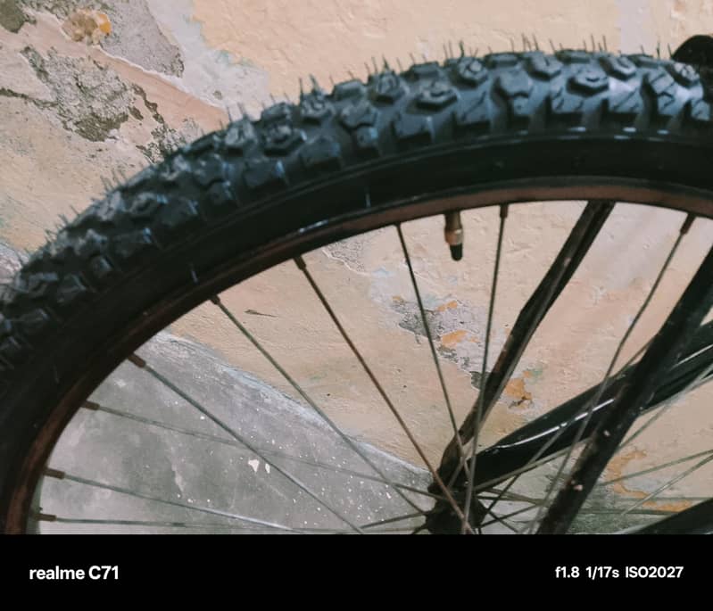 cycle size 24 2