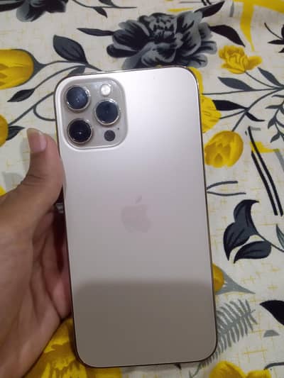 Apple iPhone 12 Pro Max
