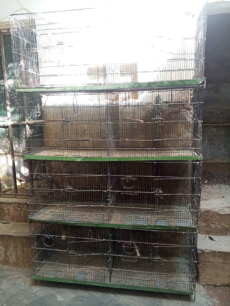 Cage 8 portion 1