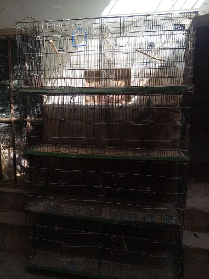 Cage 8 portion — photo 4