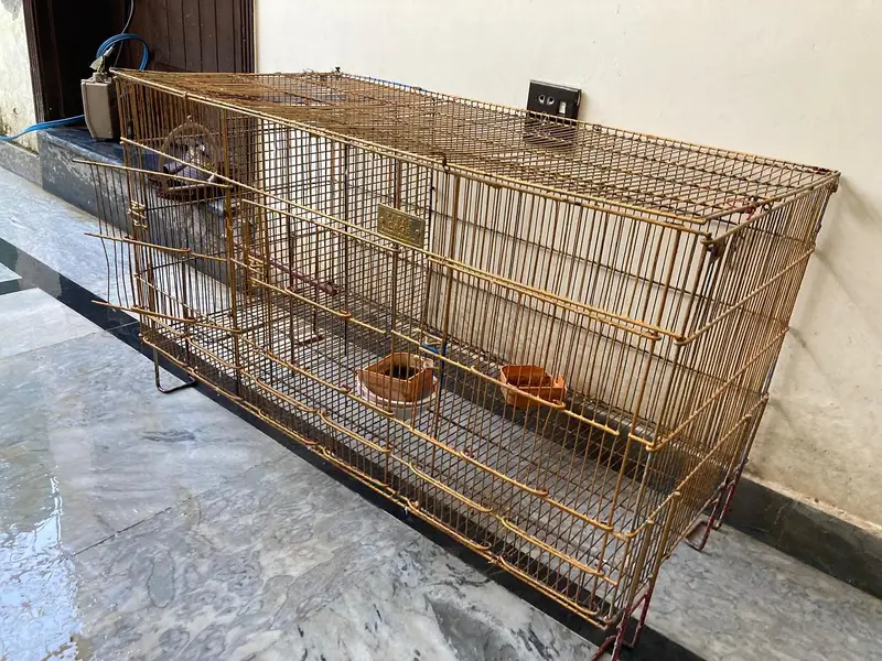 cage for sale — photo 2