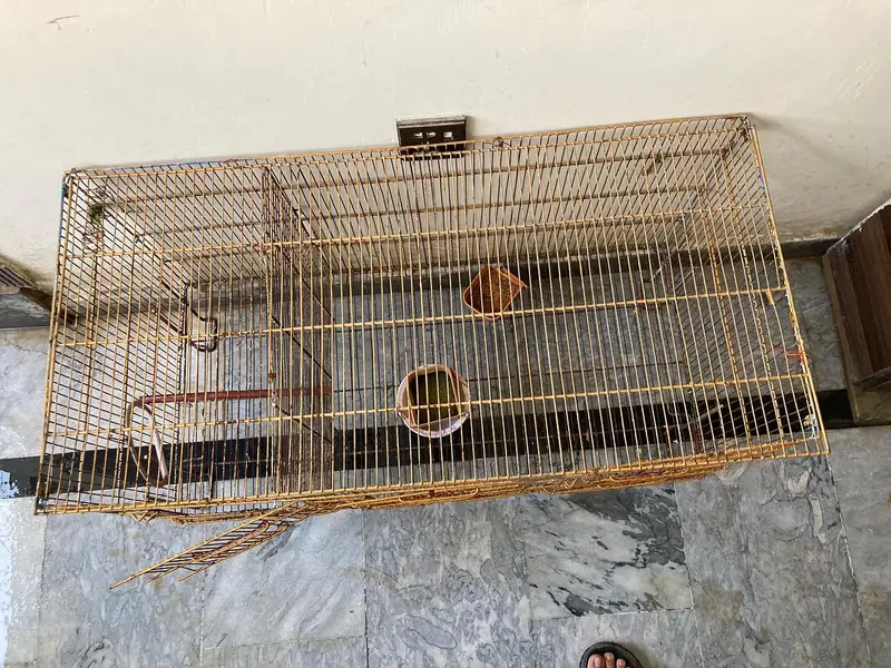 cage for sale — photo 3