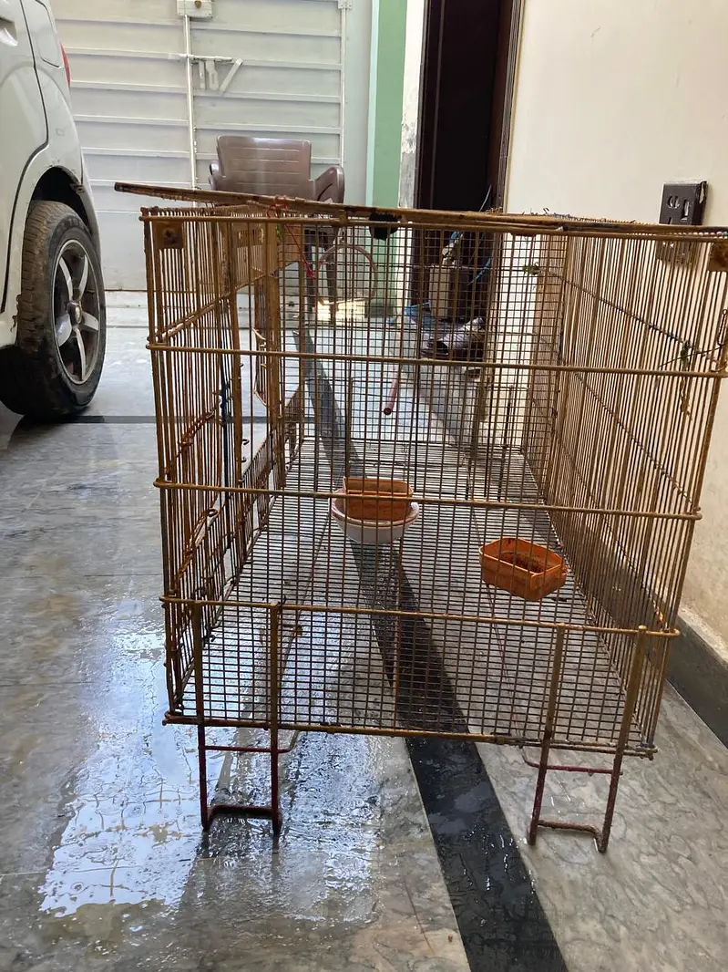 cage for sale — photo 4