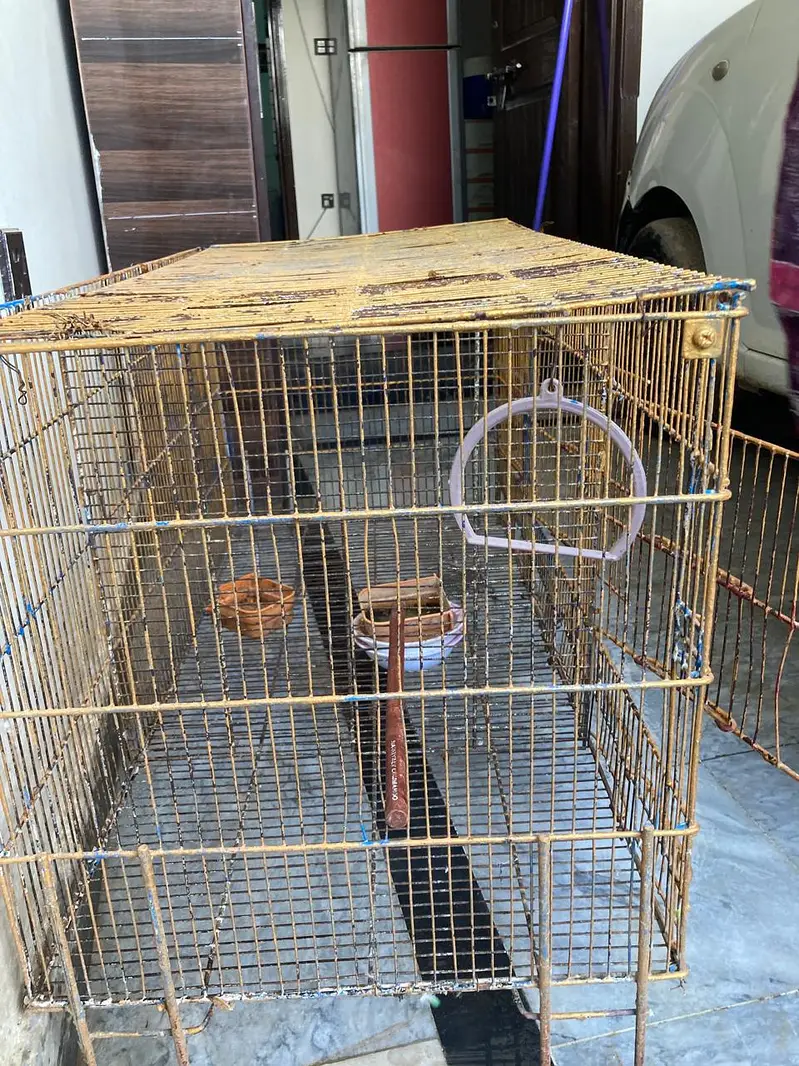 cage for sale — photo 5