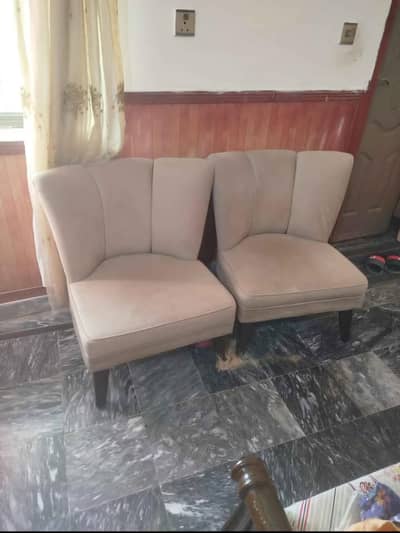 Double sofas skin color good materials