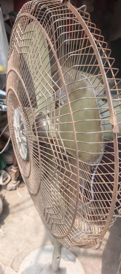 100%coper Big fan