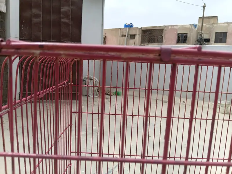 New Heavy Cage for macaw — photo 5