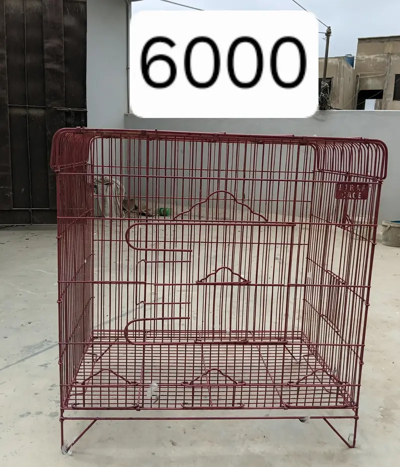 New Heavy Cage for macaw — photo 8