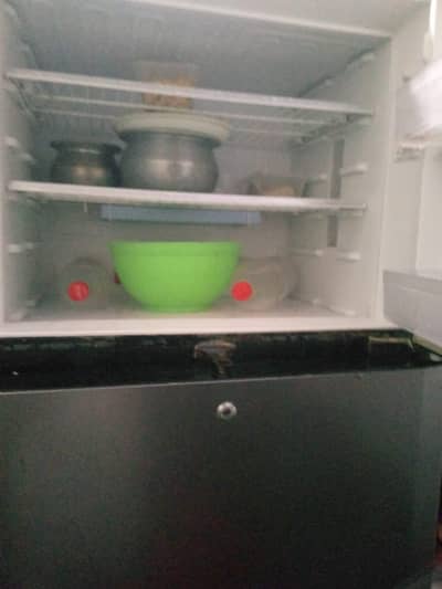 Kenwood Refrigerator (Full Size)