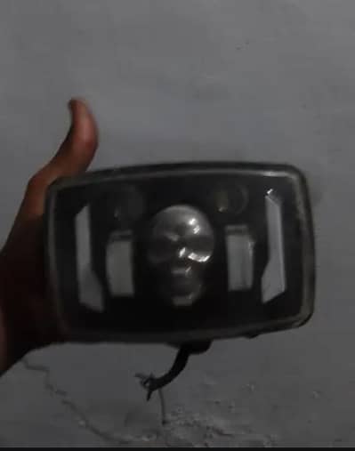 TRENDING SKULL PENEL