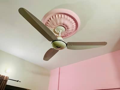 Ceiling Fans (Good Condition)