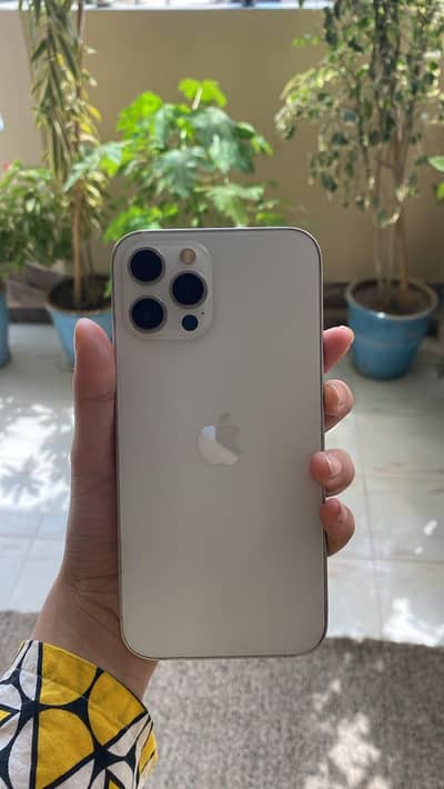 Apple iPhone 12 Pro Max