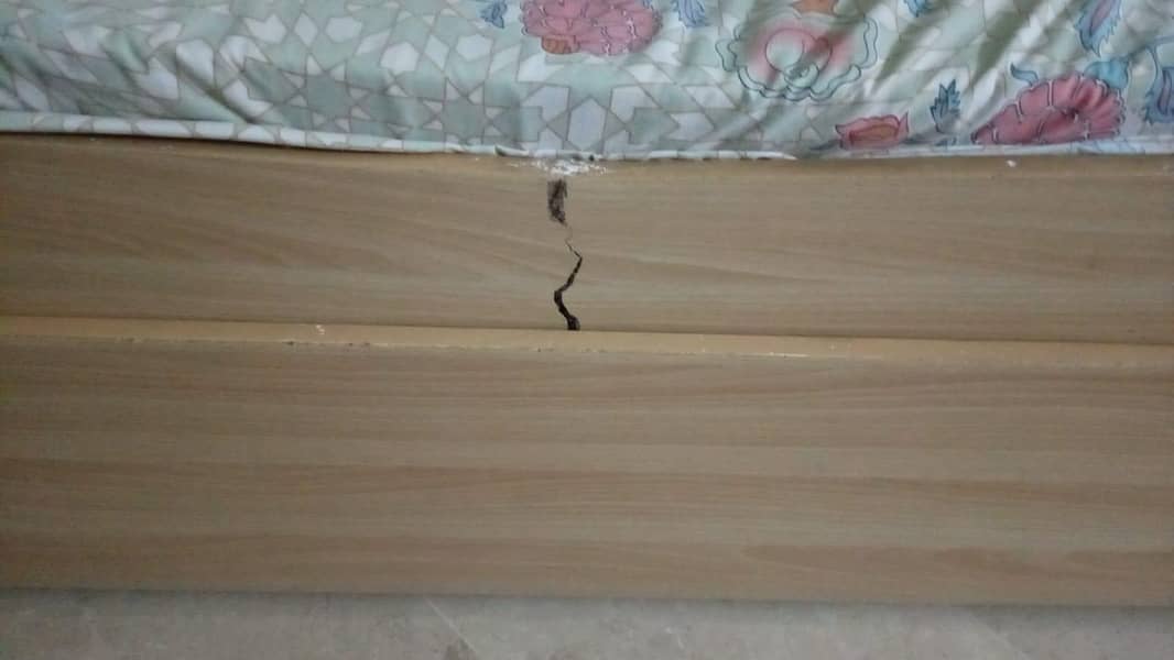 bunk bed double 3