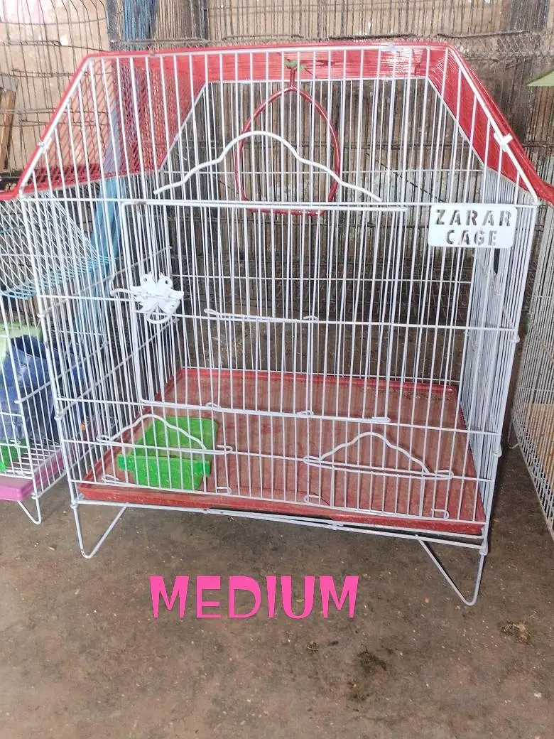 new birds cages for sale Whatsapp 03713717976 — photo 3