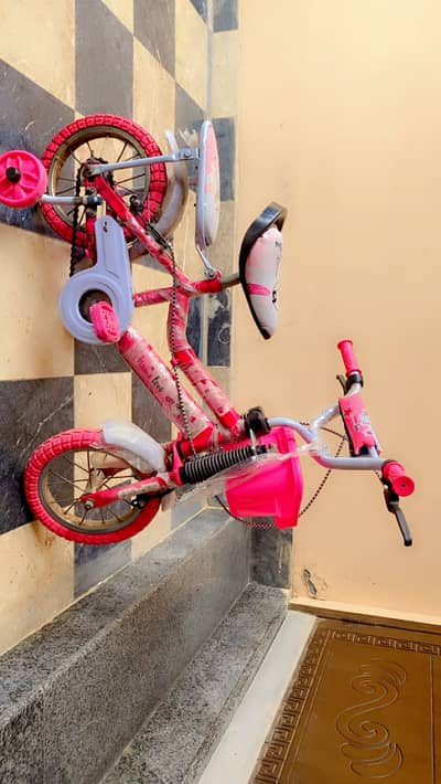 Pink cycle