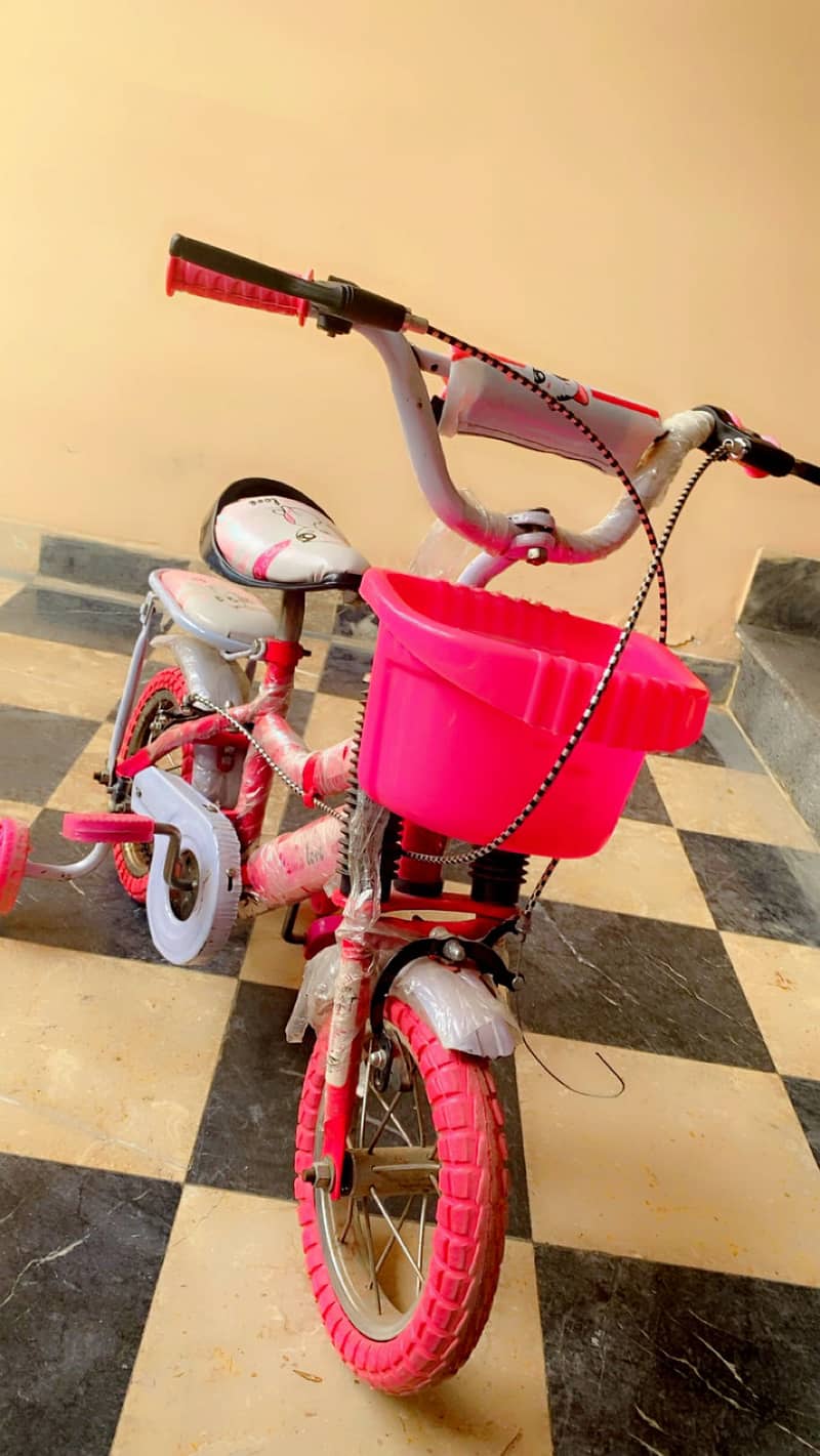 Pink cycle 1