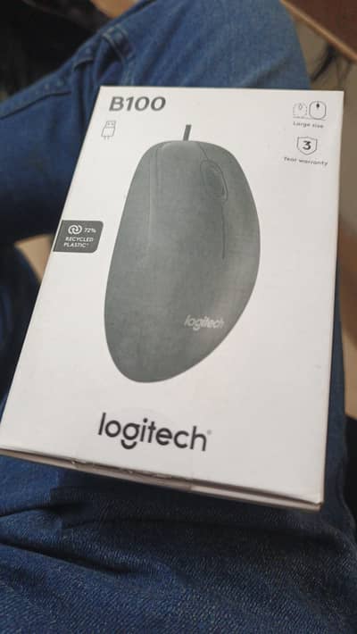 mouse