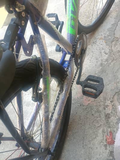 New baby Cycle