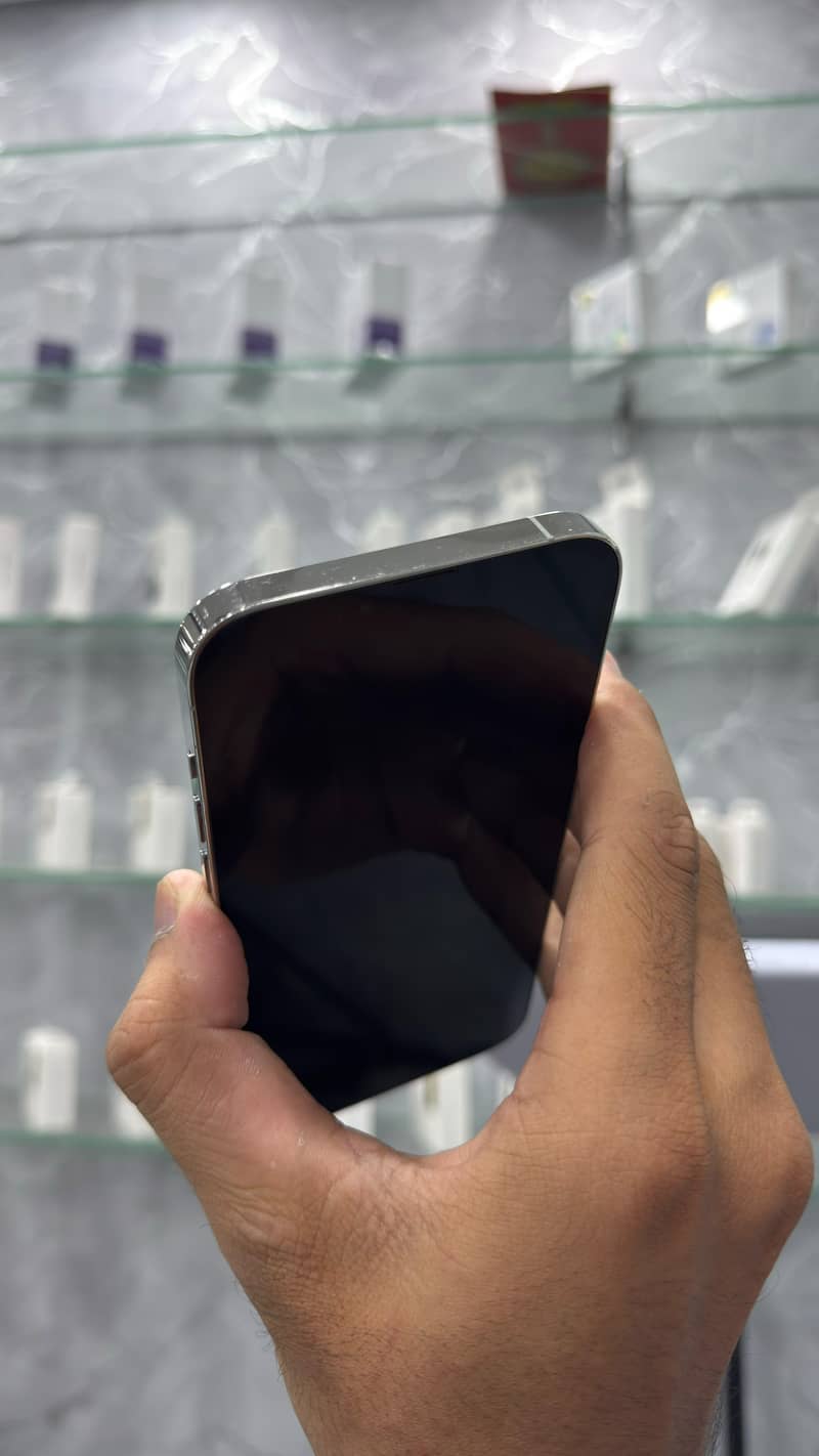 iPhone 13 Pro Max 2
