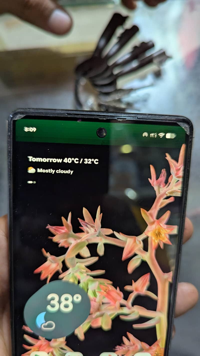 Google Pixel 6 5