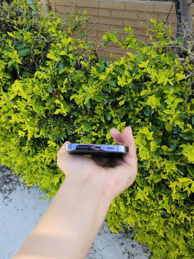 Iphone 14 pro max 3