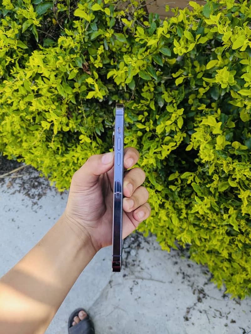 Iphone 14 pro max 4