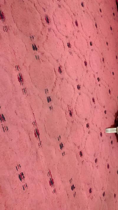Used room Carpet for sale