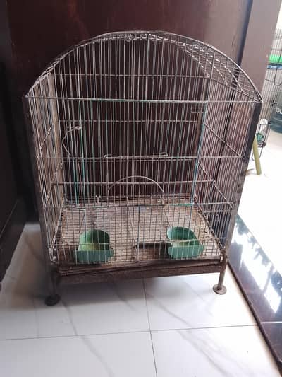 Birds Cage
