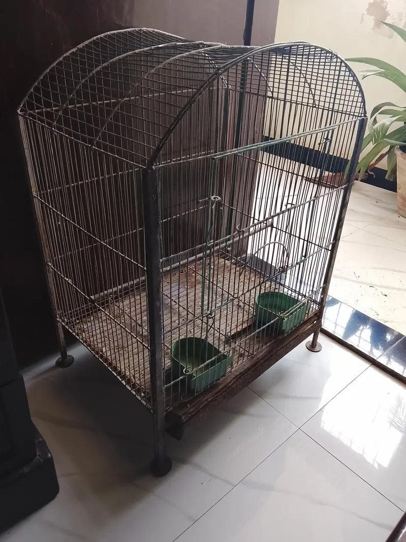 Birds Cage — photo 2