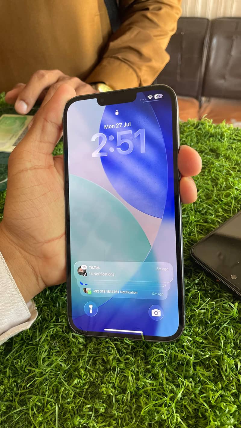 Apple iPhone 13 Pro Max 0