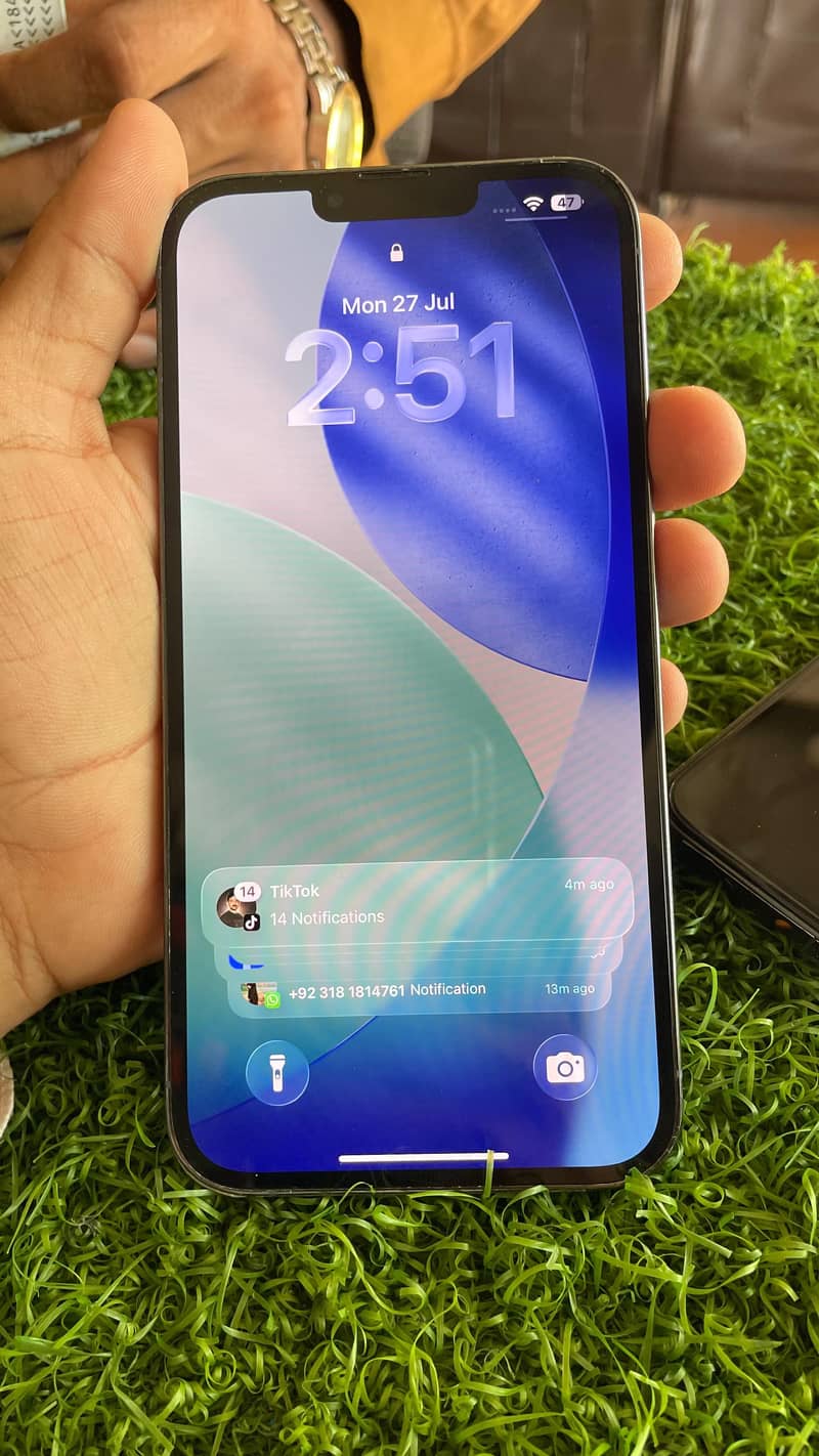 Apple iPhone 13 Pro Max 6