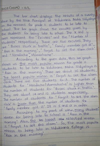 Assignment writing