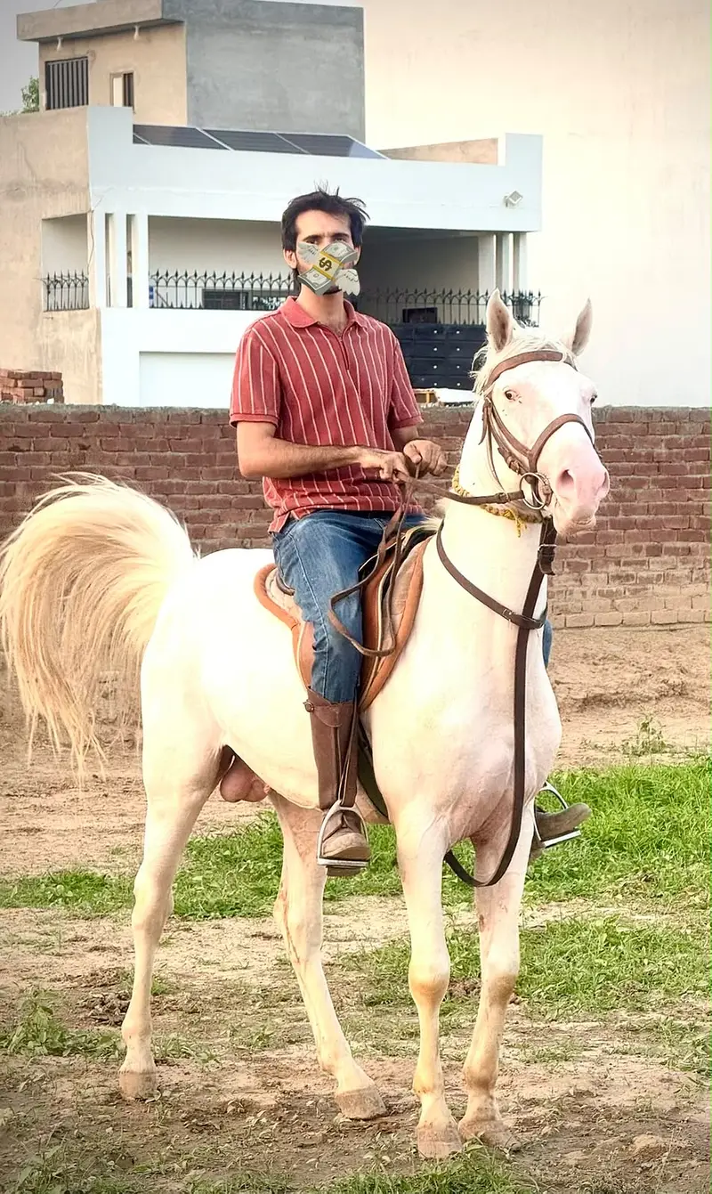 Chaalbaaz chaandi Nukra wachera 3years (White Horse) Son of Jagsinghar