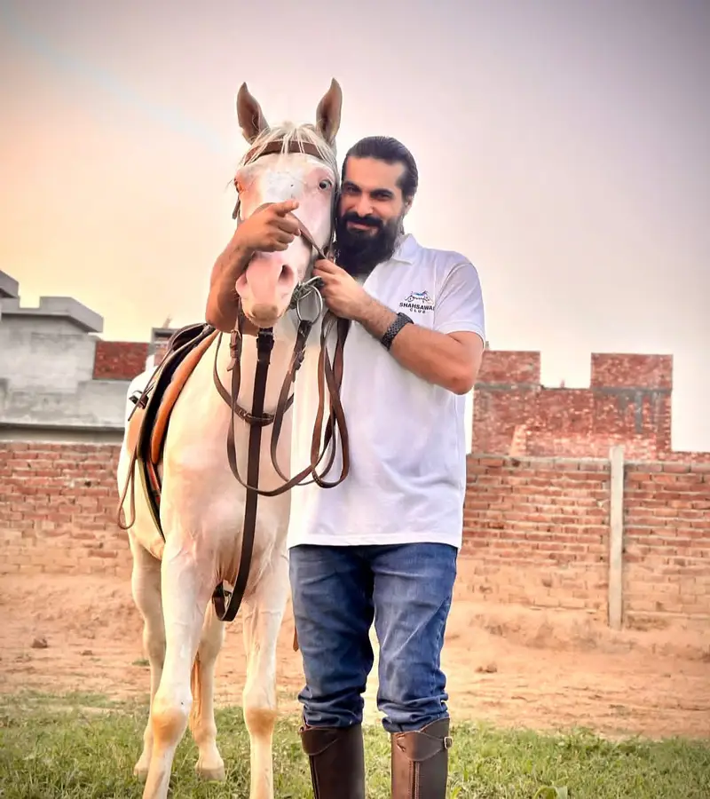 Chaalbaaz chaandi Nukra wachera 3years (White Horse) Son of Jagsinghar — photo 3