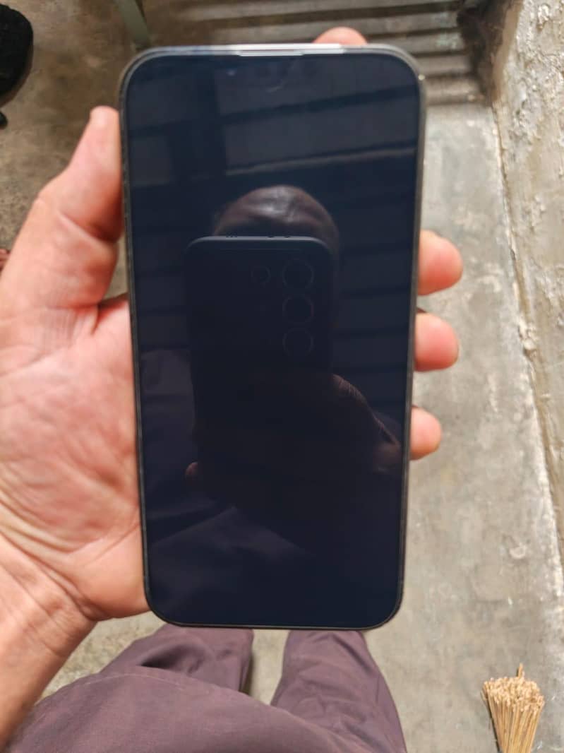 Apple iPhone 13 Pro Max 3