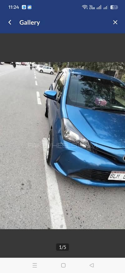 Toyota Vitz Spider Sheep
