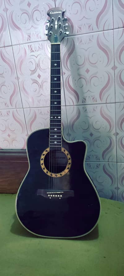 made in Bangladesh turtle shell guitar