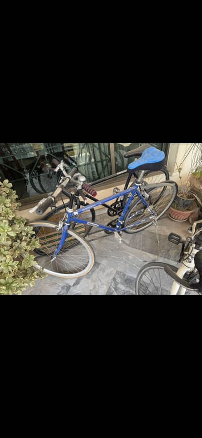 Bicycles imported urgent for sale