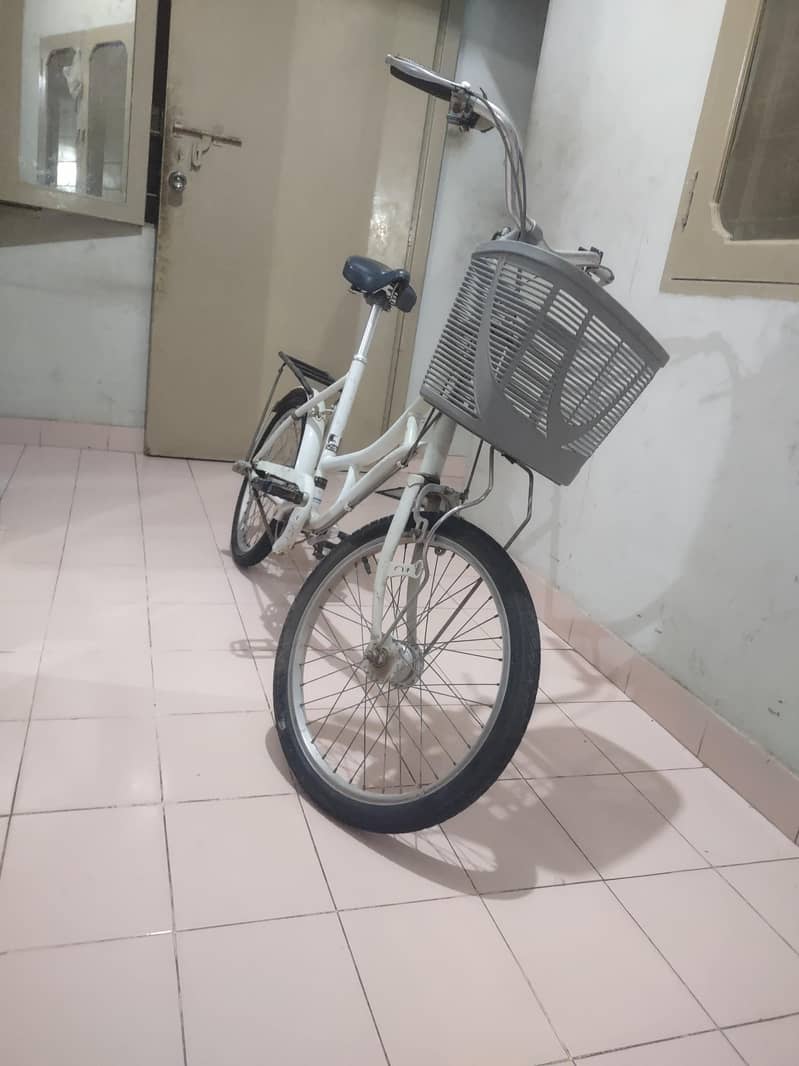Cycle 1