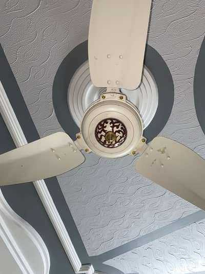 Used Royal Regal Ceiling Fan (3 Blades) - Good Condition
