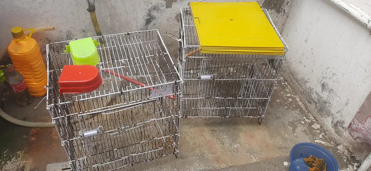 love bird cage brand ali cage — photo 2