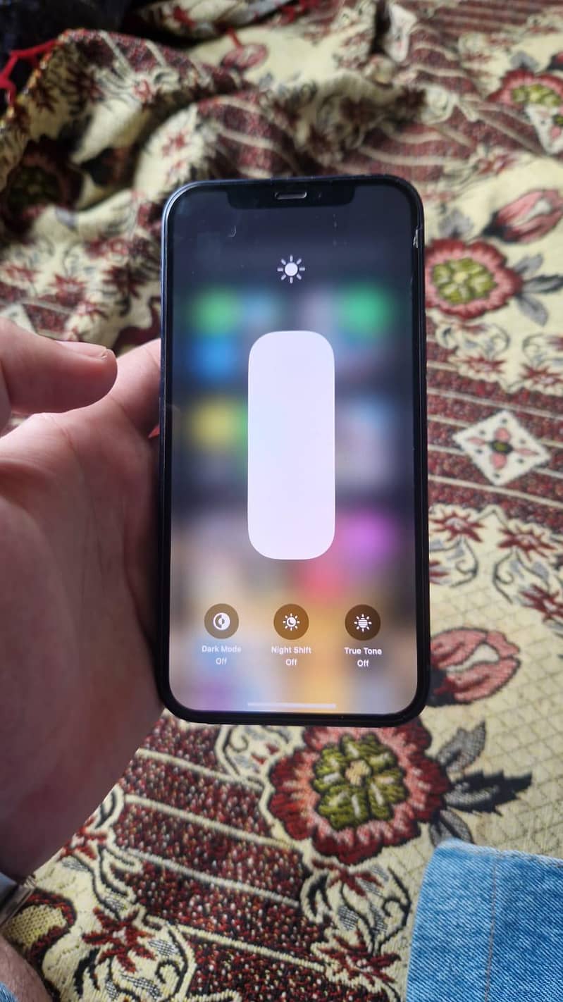 Apple iPhone 12 1