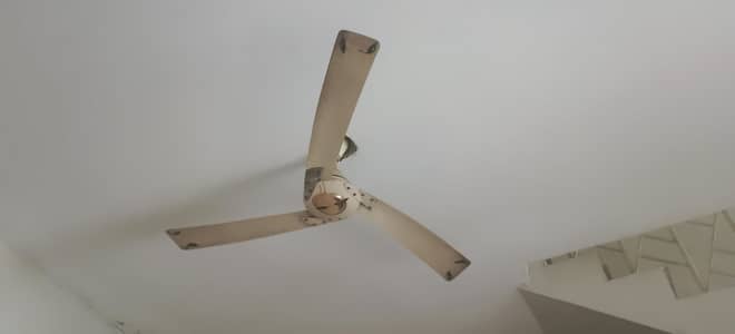 cealing fan
