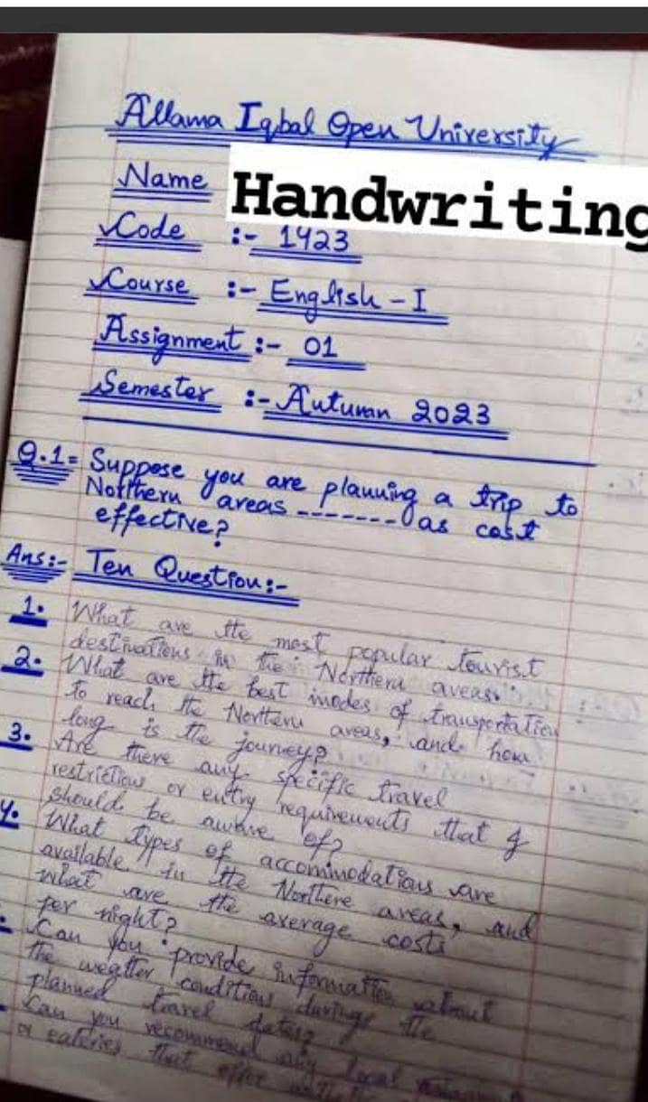 assignment writer 1